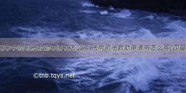 再审中的司法救助申请书怎么写 法院司法救助申请书怎么写(四篇)