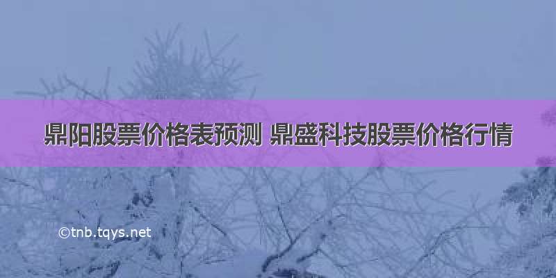 鼎阳股票价格表预测 鼎盛科技股票价格行情