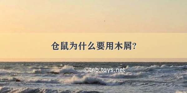 仓鼠为什么要用木屑?