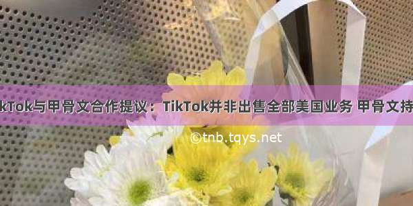 英媒曝TikTok与甲骨文合作提议：TikTok并非出售全部美国业务 甲骨文持少数股权