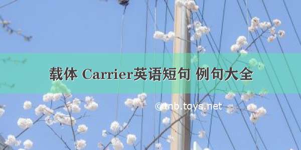 载体 Carrier英语短句 例句大全