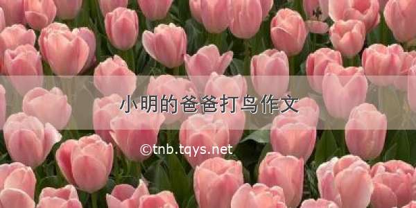 小明的爸爸打鸟作文