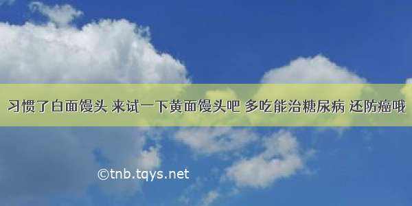 习惯了白面馒头 来试一下黄面馒头吧 多吃能治糖尿病 还防癌哦