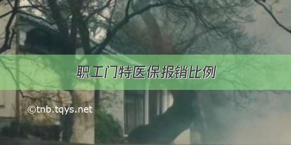 职工门特医保报销比例