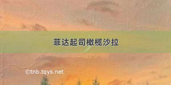 菲达起司橄榄沙拉