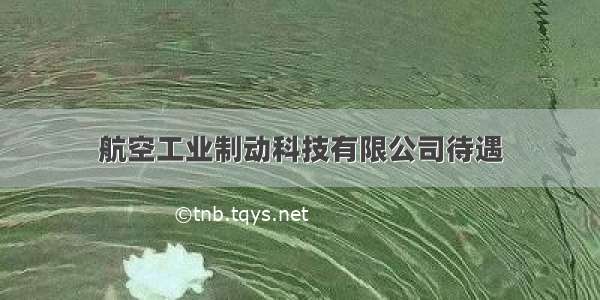 航空工业制动科技有限公司待遇