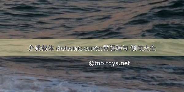 介质载体 dielectric carrier英语短句 例句大全