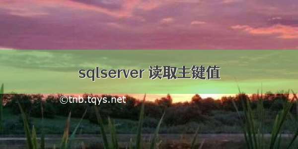 sqlserver 读取主键值