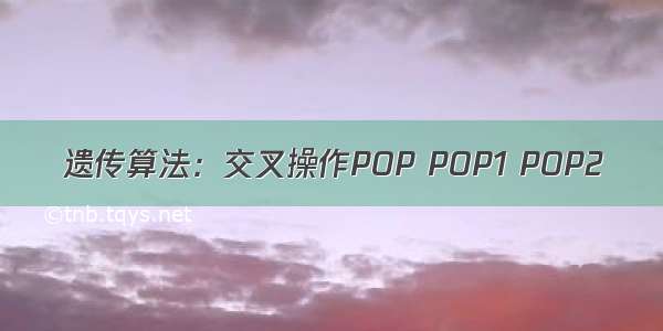 遗传算法：交叉操作POP POP1 POP2