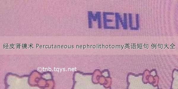 经皮肾镜术 Percutaneous nephrolithotomy英语短句 例句大全