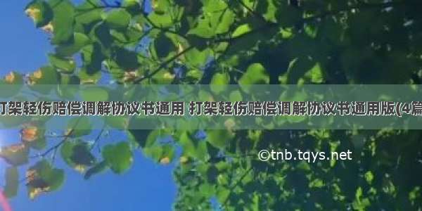 打架轻伤赔偿调解协议书通用 打架轻伤赔偿调解协议书通用版(4篇)