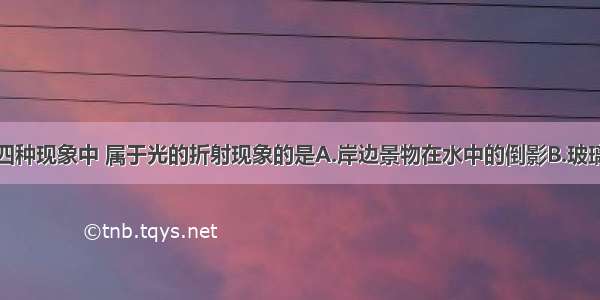 如图所示的四种现象中 属于光的折射现象的是A.岸边景物在水中的倒影B.玻璃砖后的铅笔