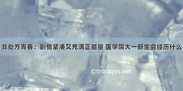 非处方青春：剧情紧凑又充满正能量 医学院大一新生会经历什么