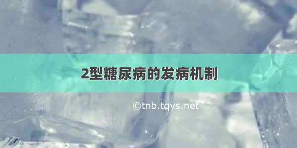 2型糖尿病的发病机制