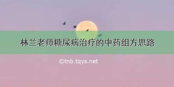 林兰老师糖尿病治疗的中药组方思路