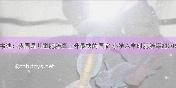 韦迪：我国是儿童肥胖率上升最快的国家 小学入学时肥胖率超20%