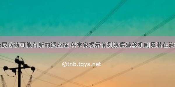 这种糖尿病药可能有新的适应症 科学家揭示前列腺癌转移机制及潜在治疗策略