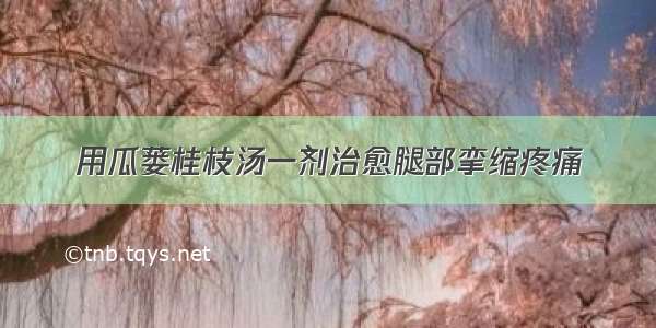 用瓜蒌桂枝汤一剂治愈腿部挛缩疼痛