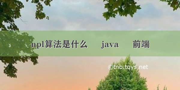 npl算法是什么 – java – 前端