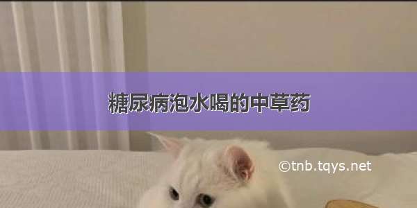 糖尿病泡水喝的中草药