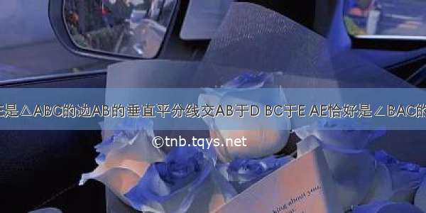 如图 已知DE是△ABC的边AB的垂直平分线交AB于D BC于E AE恰好是∠BAC的平分线 若∠