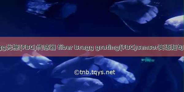 光纤Bragg光栅(FBG)传感器 fiber Bragg grating(FBG)sensor英语短句 例句大全