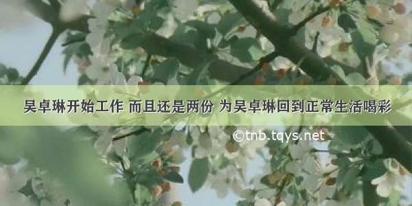 吴卓琳开始工作 而且还是两份 为吴卓琳回到正常生活喝彩