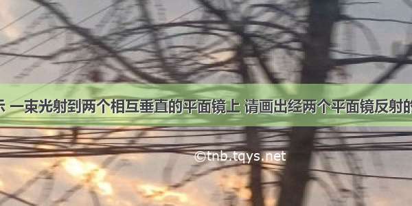 如图所示 一束光射到两个相互垂直的平面镜上 请画出经两个平面镜反射的光路图．