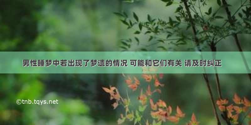 男性睡梦中若出现了梦遗的情况 可能和它们有关 请及时纠正