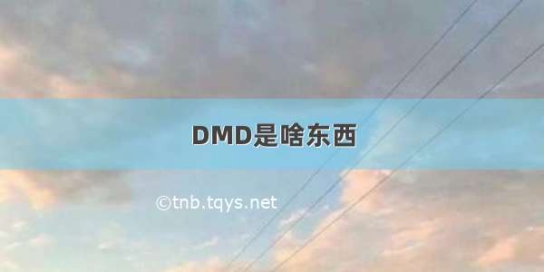 DMD是啥东西