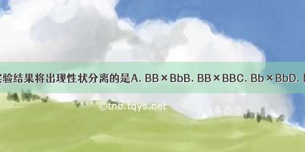 下列各组实验结果将出现性状分离的是A. BB×BbB. BB×BBC. Bb×BbD. bb×bb