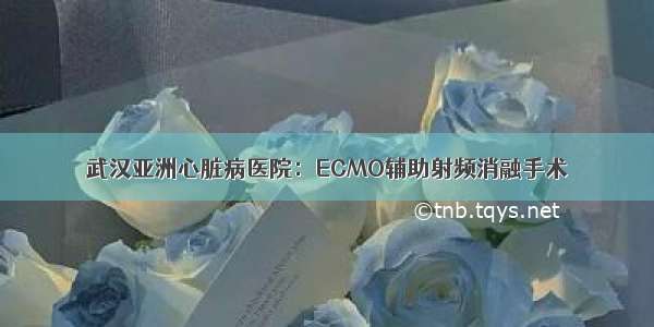 武汉亚洲心脏病医院：ECMO辅助射频消融手术