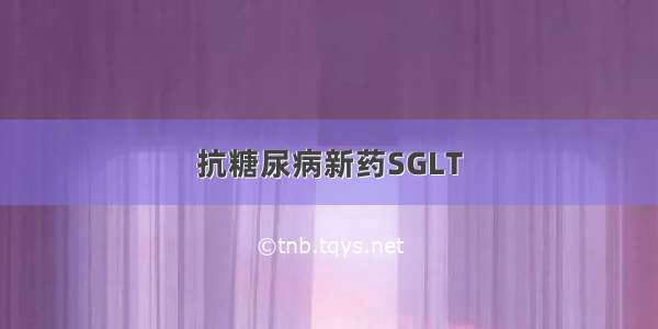 抗糖尿病新药SGLT