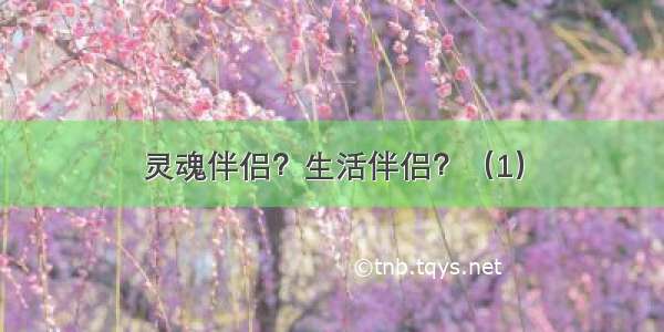 灵魂伴侣？生活伴侣？（1）