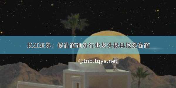 长江证券：低估值细分行业龙头极具投资价值