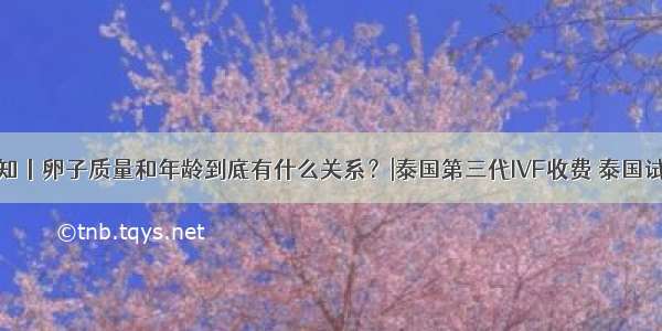 试管须知丨卵子质量和年龄到底有什么关系？|泰国第三代IVF收费 泰国试管中介