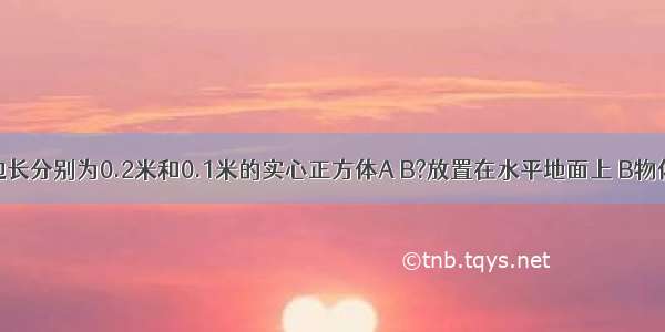 如图所示 边长分别为0.2米和0.1米的实心正方体A B?放置在水平地面上 B物体的质量是