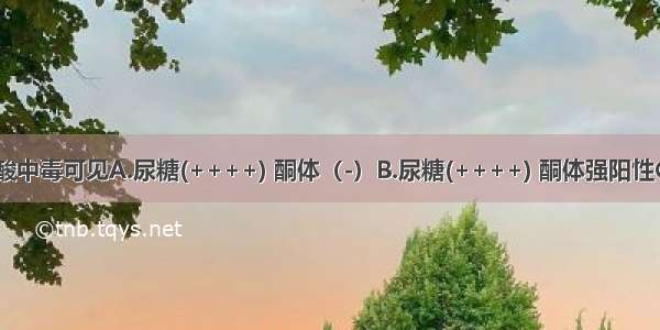 糖尿病酮症酸中毒可见A.尿糖(++++) 酮体（-）B.尿糖(++++) 酮体强阳性C.尿糖（-） 