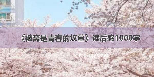 《被窝是青春的坟墓》读后感1000字