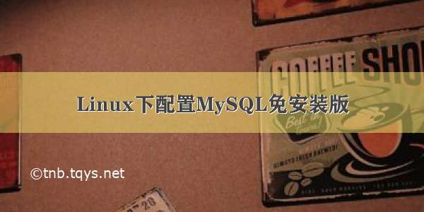 Linux下配置MySQL免安装版