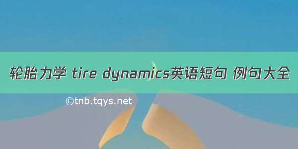 轮胎力学 tire dynamics英语短句 例句大全