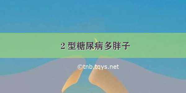 ２型糖尿病多胖子