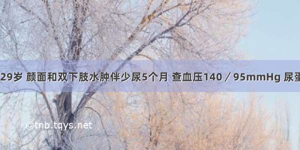 患者 男性 29岁 颜面和双下肢水肿伴少尿5个月 查血压140／95mmHg 尿蛋白（+++）