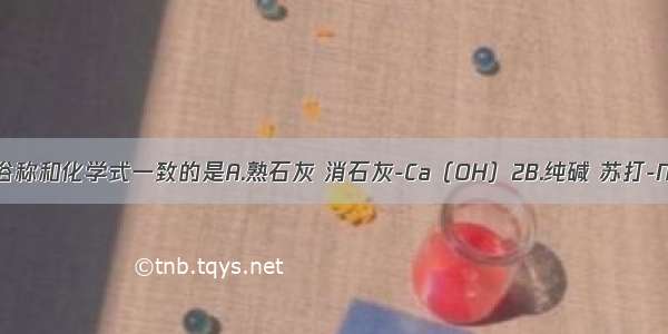 下列物质的俗称和化学式一致的是A.熟石灰 消石灰-Ca（OH）2B.纯碱 苏打-NaHCO3C.食