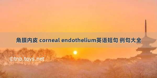 角膜内皮 corneal endothelium英语短句 例句大全