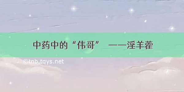 中药中的“伟哥”​——淫羊藿