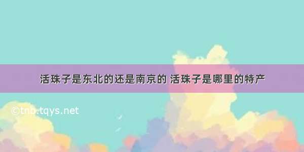 活珠子是东北的还是南京的 活珠子是哪里的特产