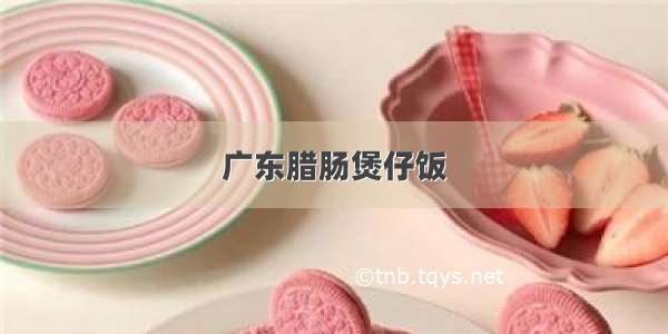 广东腊肠煲仔饭