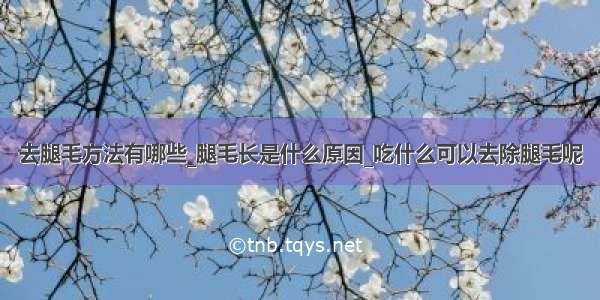 去腿毛方法有哪些_腿毛长是什么原因_吃什么可以去除腿毛呢