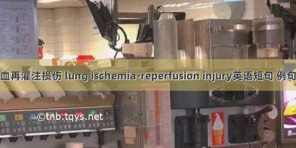 肺缺血再灌注损伤 lung ischemia-reperfusion injury英语短句 例句大全